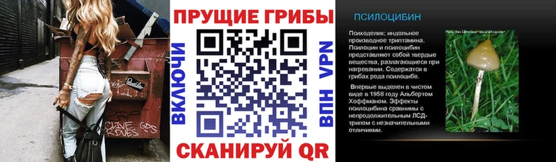 Галлюциногенные грибы GOLDEN TEACHER Ясногорск